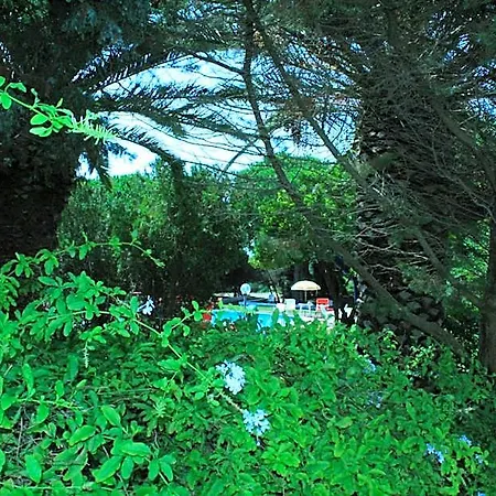 Mirage